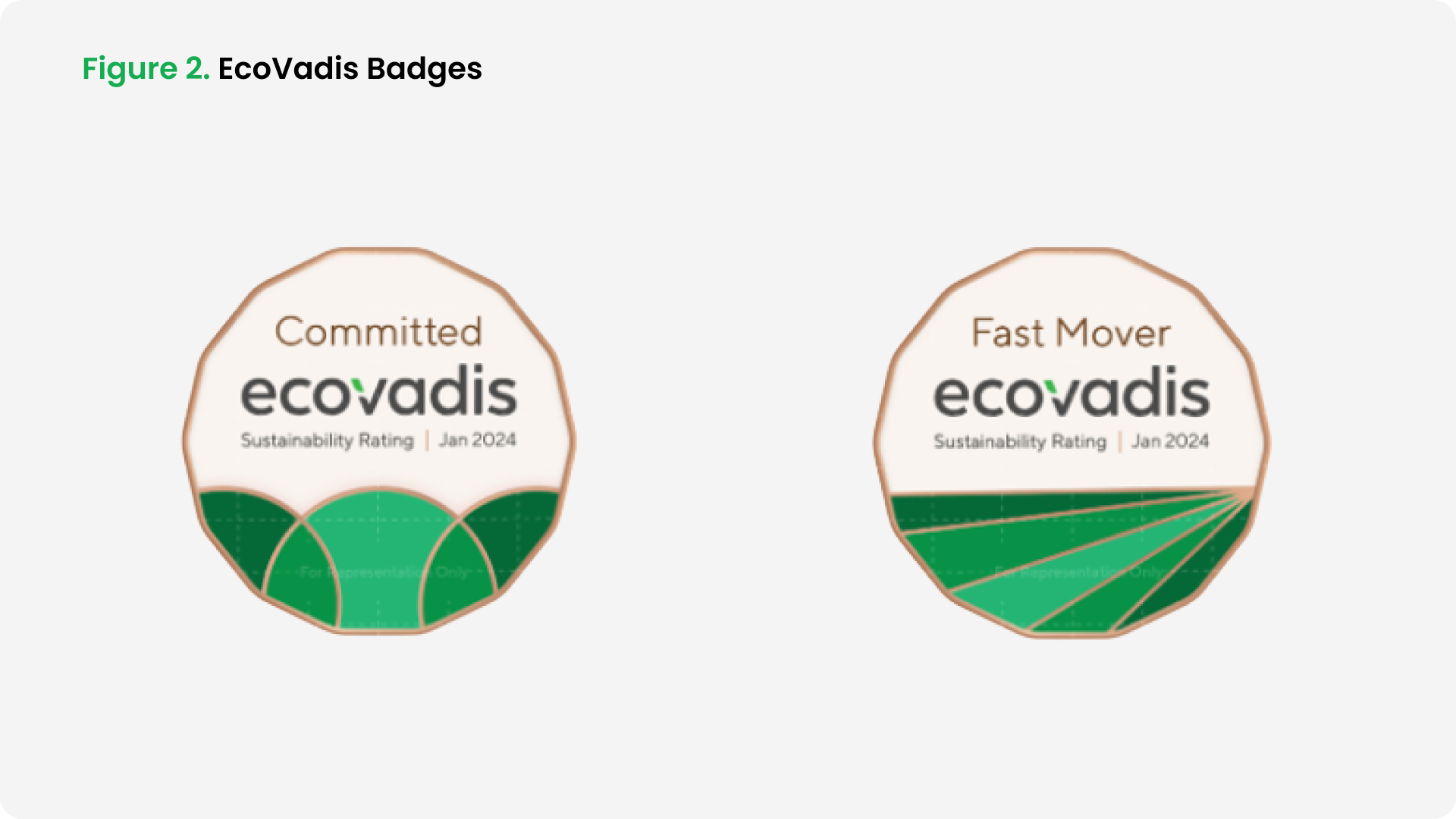 What You Need To Know For Your 2024 EcoVadis Assessment